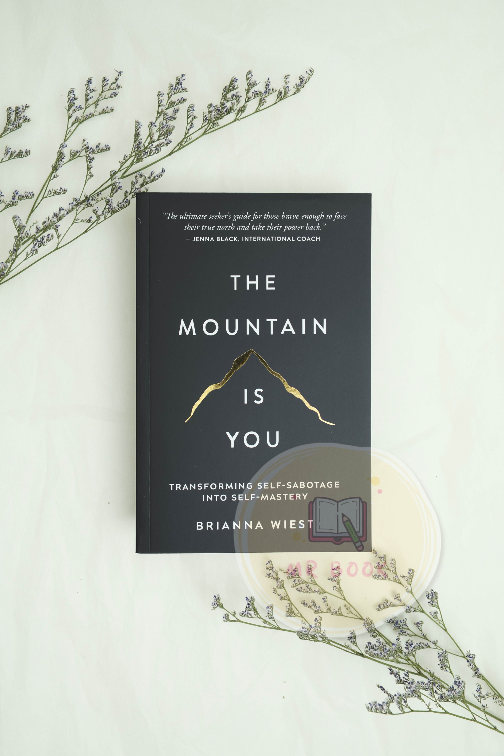 The Mountain is You-1